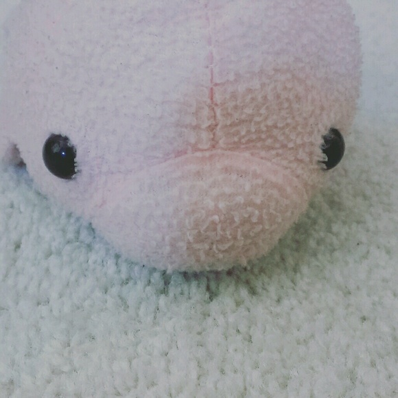 kogreboi
